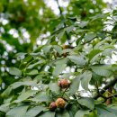 다미농장 이미지