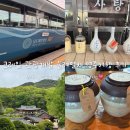 해랑달이랑 영농조합법인 | 코레일 관광개발 술례(酒禮)열차 타고 전통주 체험여행 다녀온 후기💫