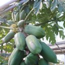 정모농장 이미지