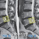 더디스크 이미지