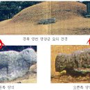 오미2동 Daum카페