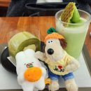 괴산레지던스&호텔힐 | [제주 여행] 협재솥, 오설록, 카멜리아힐, 핫플트립, 벤티모 호텔, 동문시장