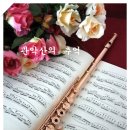 아름다운 플룻 연주곡 모음 13곡 이미지