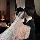 라플레르 이미지