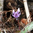 운하아구찜 이미지