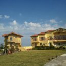 제주도유 이미지