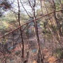 포항시북구1 이미지