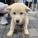 원두보건진료소 이미지