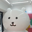 &lt;홍대 나가노마켓&gt; 팝업스토어 첫날 입장 후기 (담곰이, 치이카와, 나가노수족관)