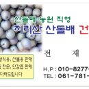 지리산산돌배건강원 네이버블로그