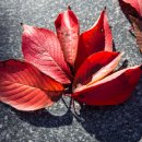 동락공원 축구장 화장실 이미지