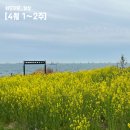[4월 1~2주]슬도 유채꽃밭 엄마랑 나들이, 또 도져버린 단발병, 80% 단백질 식단과 망할 야식, 울산현대...