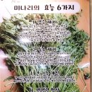 미숙이랑 꼬기랑 이미지