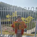 장목초등학교 병설유치원 이미지