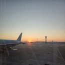 홍콩여행 1일차 | 인천공항주차꿀팁, 홍콩공항 환전+옥토퍼스카드 구매, 제니베이커리 침사추이, 뉴...