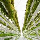 항균농장 이미지