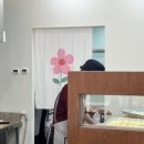 파파스고로케