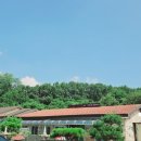 솔모로골프장 | 36홀의 명품코스를 즐길수있는 솔모로cc골프장회원권 매각해드렸어요~