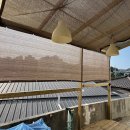 동해시 묵호항 단독주택 5,500만원(세컨하우스) 이미지