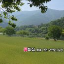 꽃특집_봄을 안은 여인아_작사 정원 주효주_가수 효주_작 편곡_수노_기획 편집 윤기영 이미지
