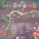 초록산등산로 이미지