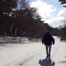 히말제주