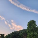 한림용인 이미지