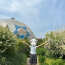 아산 배방읍 장미카페 플라워돔 후기