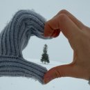 선우약국 | [❄️DAY 3] 비에이 날씨 난리자베스