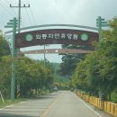 와룡자연휴양림일반야영장 네이버블로그