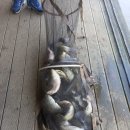 그린좌대2 낚시터 이미지