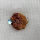 올림픽동물의료센터 이미지