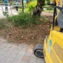 원당근린공원 이미지