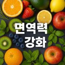 비타민멀티짐 | 환절기 면역력 강화 길음역 헬스장/블랙멀티짐
