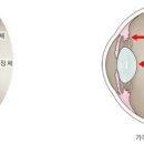 안경과사람들 이미지