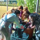 천연염색과 바느질 이미지