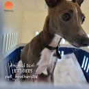 세븐일레븐 인천계양효성점 이미지