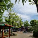 에버그린의원 이미지