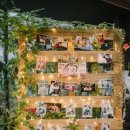 더그레이스켈리 이미지