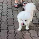 상모동물병원 이미지