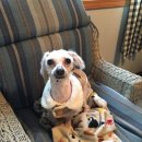 해미2농장 이미지