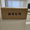한입땅콩쿠키 대용량쿠키 카페쿠키 피넛버터쿠키 간식추천 사무실간식