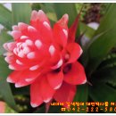 목양 약국 이미지