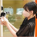 강아지분양 퍼피베이비 이미지