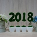 안마이야기안마원 이미지