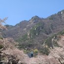 황금 노래연습장 이미지