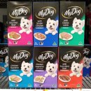 마이도그(My Dog) 이미지