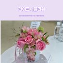 라이크어플라워 | 천안 꽃집 불당동 라이크어플라워 생화케이크 당일 예약 픽업