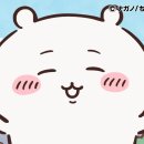 시우 - 안양시 동안구 관악대로 317-4 | 시우