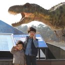 고성공룡박물관야영장 이미지